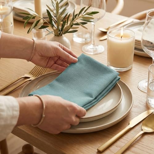 ACCENTHOME Accent Home 100% Cotton Napkins, Delicate Cloth Napkins for Dinners, Parties and Weddings，18 x 18 Inch Set of 12 - Blue