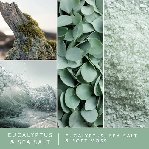 ScentSationals Eucalyptus & Sea Salt Water-Based Reed Diffuser - 5 FL OZ
