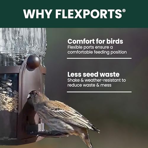 Perky-Pet Squirrel-Be-Gone Max Bird Feeder, (4) Flexport Feeding Stations