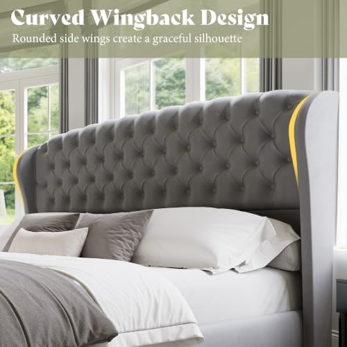 AMERLIFE Full/Queen Headboard Only, Velvet Curved Wingback, Grey