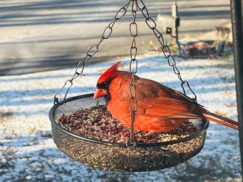 Bird Feeder, Hanging Platform Bird Feeder, Mesh Tray