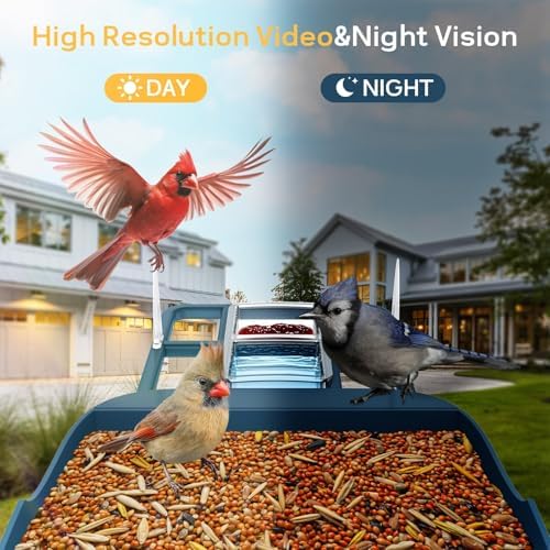 Fazoxo FHD Bird Feeder with Camera,Solar Powered Bird House Camera
