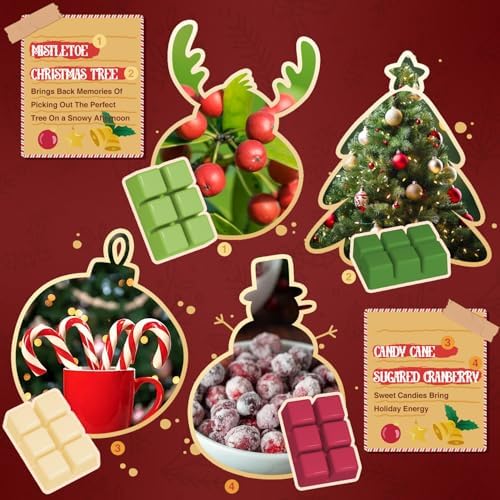 Salubrito Christmas Scented Wax Melts, Strong Scented Soy Wax Cubes/Tarts Variety Set - Apple Cinnamon, Gingerbread, Christmas Tree, Pudding, Sugared Cranberry, Candy Cane, Mistletoe, Chocolate Cake