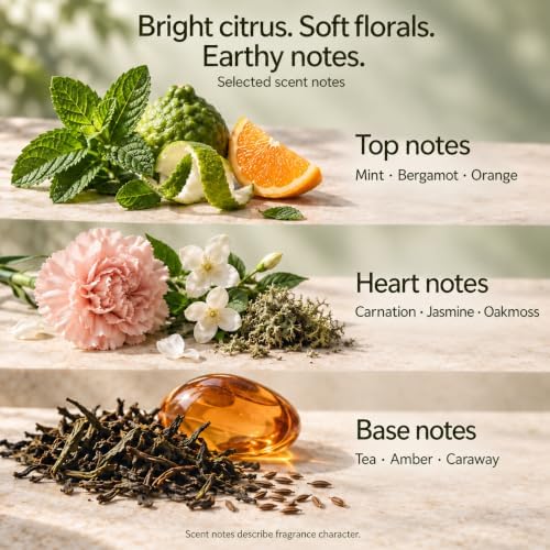 Dawn Camellia Grove Amalfi Lemon & Mint Reed Diffuser, 5.9 Fl Oz – Fresh Citrus Home Fragrance for Up to 90 Days - Reusable, Refillable Glass Holder - Includes 4 Natural Reed Sticks - Flame Free