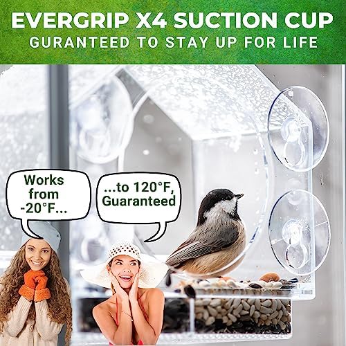 Window Bird Feeder with Strong Suction Cups, 2 Pack, Bird Feeders Outdoor