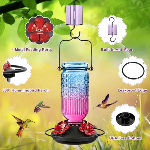 FEED GARDEN Glass Hummingbird Feeder for Outdoors, Leak-Resistant, 16 oz