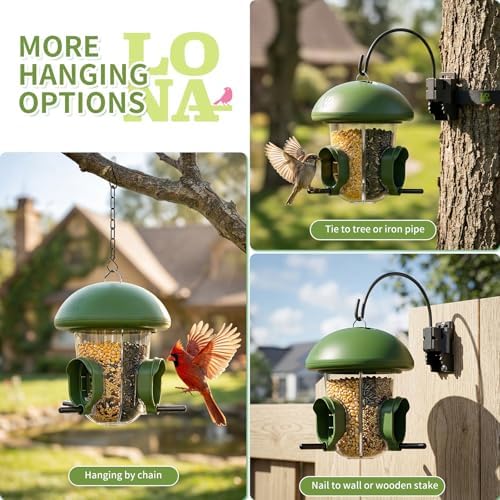 LONA Bird Feeder with 3 Compartments, Dome Bird Feeder for Outdoor, Green