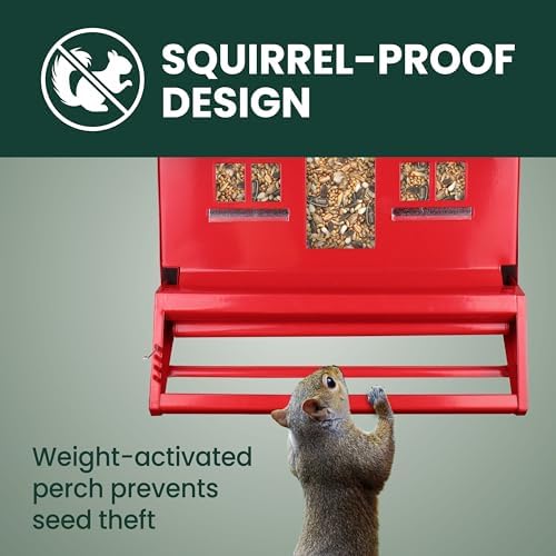Perky-Pet Squirrel-Be-Gone II Country Style Bird Feeder, 8 lb Seed Capacity