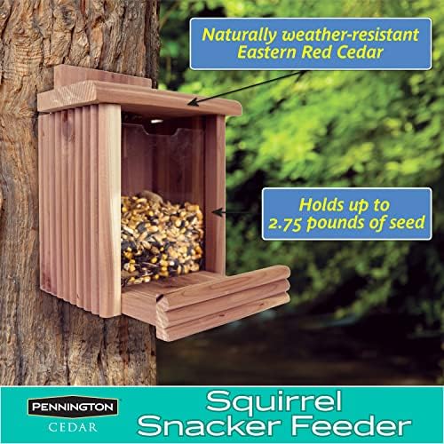 Pennington Cedar Squirrel Snacker Feeder, Squirrel Feeder, 2.75 LB