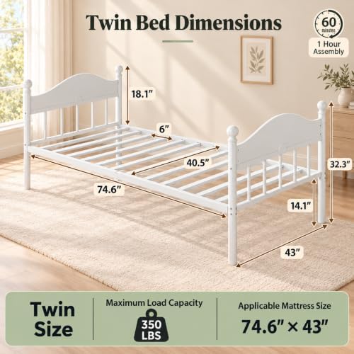 Twin Daybed with Trundle, Pull Out Guest Bed, Space Saving Twin Bed Frame