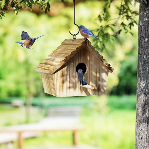 Auslar Bird Houses for Outside, Hanging Wooden Bluebird House for Outdoors