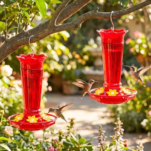 Gbekery 10 OZ Glass Hummingbird Feeders for Outdoors Hanging - Red 2 Pack, Ant & Bee Proof and 6 Feeding Ports, Garden Yard Décor Gifts for Mom