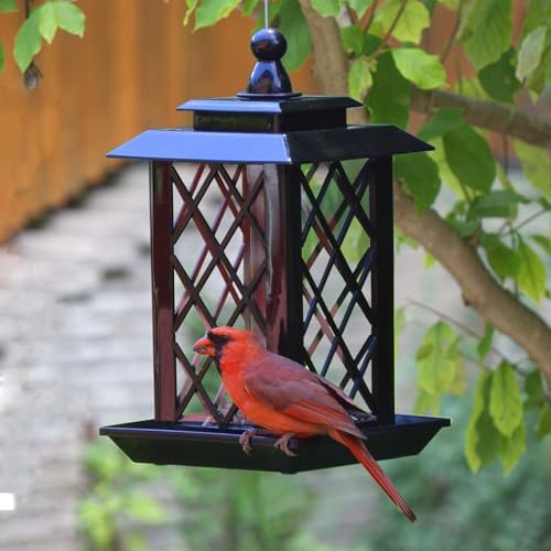 Byvivace Large Bird Feeders, Hanging Bird Feeders for Outdoors, 3.2lb Capacity Lantern Wild Bird Feeders for Outside Hanging, Black