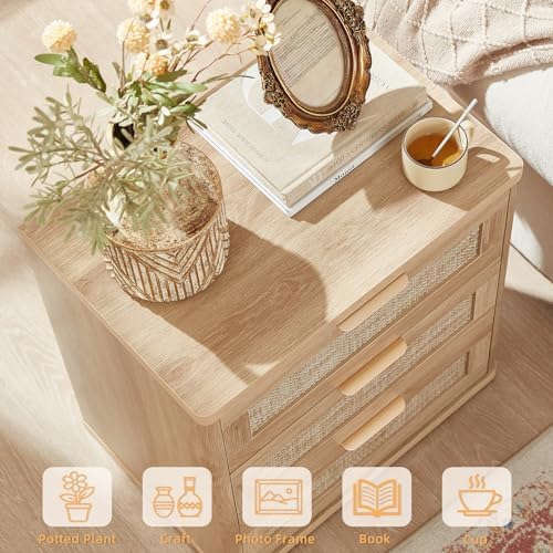LEYAOYAO Rattan 23" Nightstands Set of 2 with Drawers for Bedroom