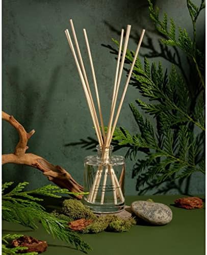 Brooklyn Candle Studio Reed Scent Diffuser - Catskills - Relaxing Oil Diffuser, Cedar, Cypress & Juniper Fragrance, 8 Rattan Diffuser Reeds, Clean Ingredients - 3.7oz