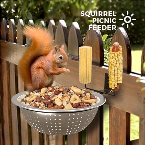 8.5" Squirrel and Bird Feeder Combo for Outside Tree/Fence, Removable Metal Bowl Feeder with Drainage Holes, Adding 1 for Squirrel Watering or Bird Bath/Swim, Sturdy Easy Clean Feeders for Outdoor
