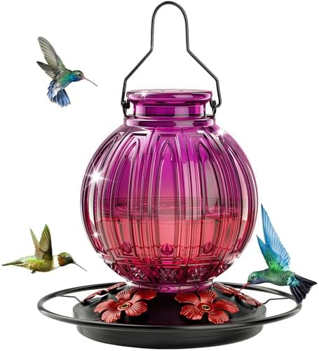 Glass Hummingbird Feeder for Outdoors Hanging, 26 fl oz Bird Nectar Feeder
