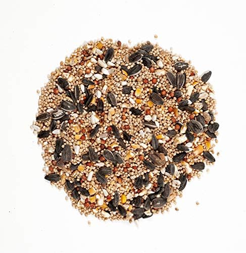 Wagner's 62011 Eastern Regional Blend Wild Bird Food, 8-Pound Bag