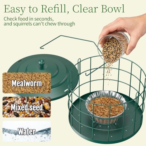 Birdream Metal Cage Bird Feeder for Outdoors Hanging with Glass Bowl, Green