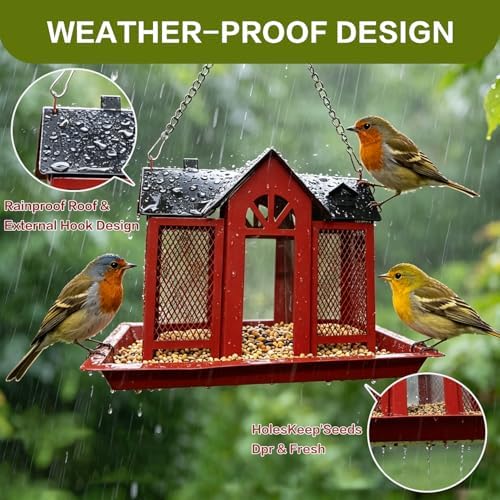 Large Metal Bird Feeders for Outdoors Hanging with Double Suet Cage Weatherproof Roof, 4 in 1 Suet Feeder for Woodpecker, 4 Lbs Capacity Bird Feeder House for Cardinal Finch Chickadee