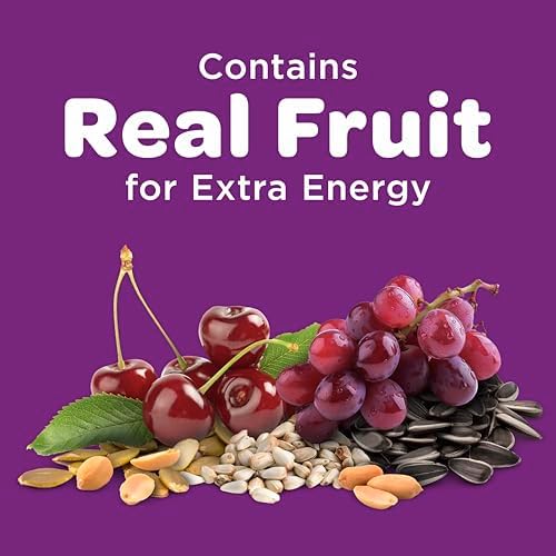Kaytee Nut and Fruit Blend, 20-Pound
