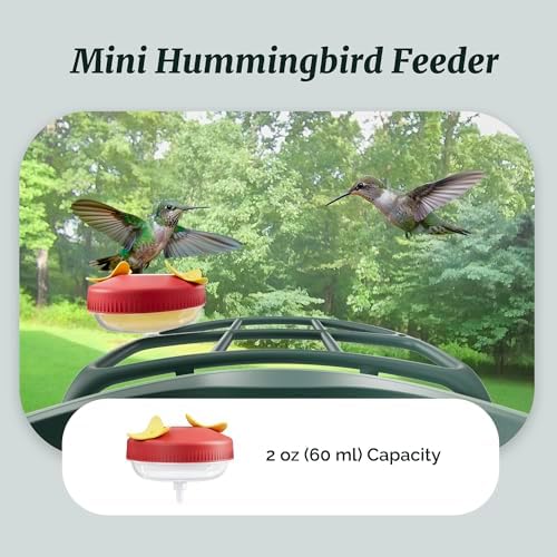Kiwibit Complete Accessory Kit DIY Add-Ons Including Mini Hummingbird Feeder, 2 Fruit Holders, Jelly Feeder (Smart Bird Feeder NOT Included), Compatible with Kiwibit Bird Feeder
