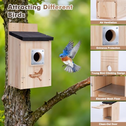 Gtongoko 2 Pack Bluebird Houses for Outside with Metal Predator Guard Black