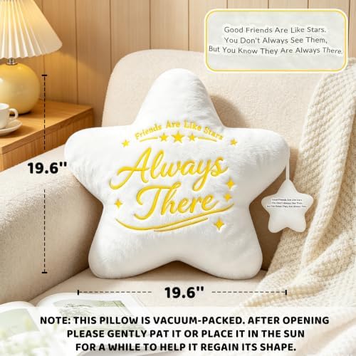 NZNDB Funny Star Pillow Best Friend Friendship Gifts for Women