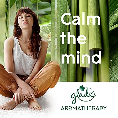 Glade Aromatherapy Diffuser & Essential Oil, Air Freshener for Home, Find Clarity Scent with Notes of Bergamot & Lemongrass, 0.56 Fl Oz