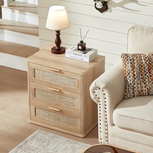 LEYAOYAO Rattan 23" Nightstands Set of 2 with Drawers for Bedroom
