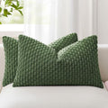 Kevin Textile Soft Corduroy 12"x20" Lumbar Pillow Covers 2 Pack, Moss Green