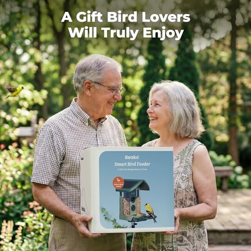 Kiwibit Solar Smart Bird Feeder with Camera, 4K HDR Live Video, AI Bird ID