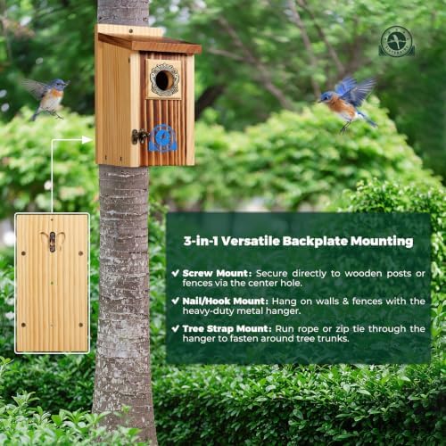 SISTERBIRD Premium Bluebird Houses for Outside, Bird House, Warming Gifts