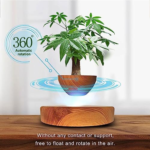Floating Magnetic Levitating Flower Pot Bonsai Air Plant Pot Planter Potted for Home, Office & Desk Decor Gift