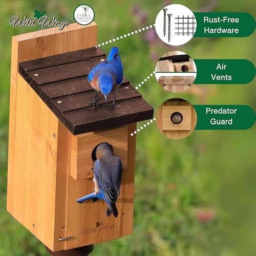 Wild Wings WWCH3 Cedar Blue Bird Box House,(Pack of 4)
