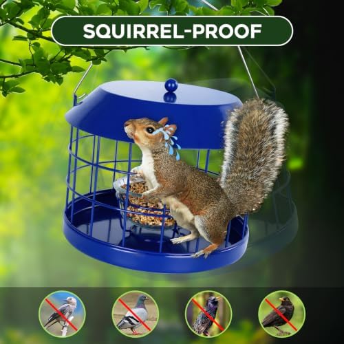 Gbekery Bluebird Feeder for Mealworms with Glass Bowl for Outdoors, Blue
