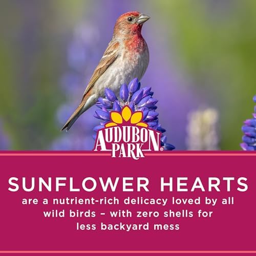 Audubon Park Sunflower Hearts Wild Bird Seed, 15-lb.