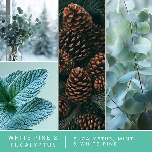 ScentSationals White Pine & Eucalyptus Water-Based Reed Diffuser - 5 FL OZ