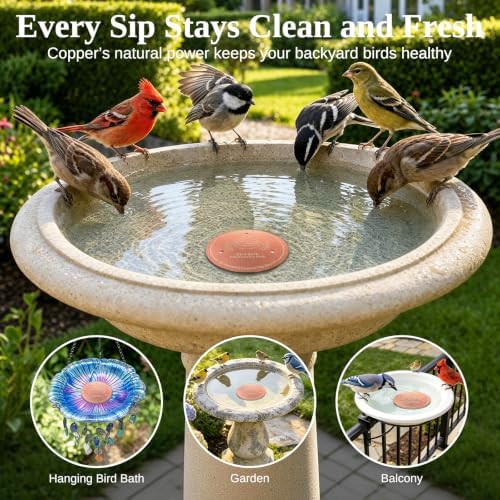 Copper Disc for Bird Bath, 99.9% Pure Copper (Two Birds)