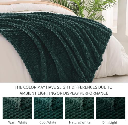 Exclusivo Mezcla Large 3D Fleece Throw Blanket for Couch, Forest Green