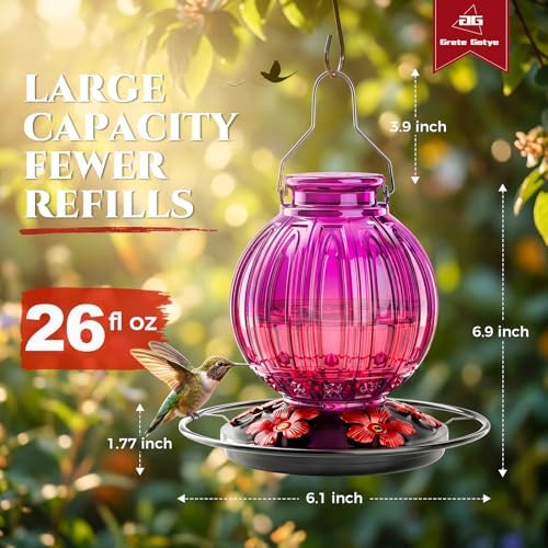 Glass Hummingbird Feeder for Outdoors Hanging, 26 fl oz Bird Nectar Feeder