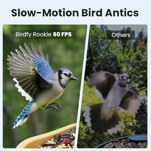 Birdfy Smart Bird Feeder with Camera for Beginners, Solar Powered Rookie
