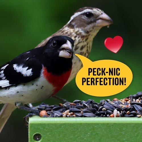 Cool Birds All Birds Wild Bird Seed, 10 lb