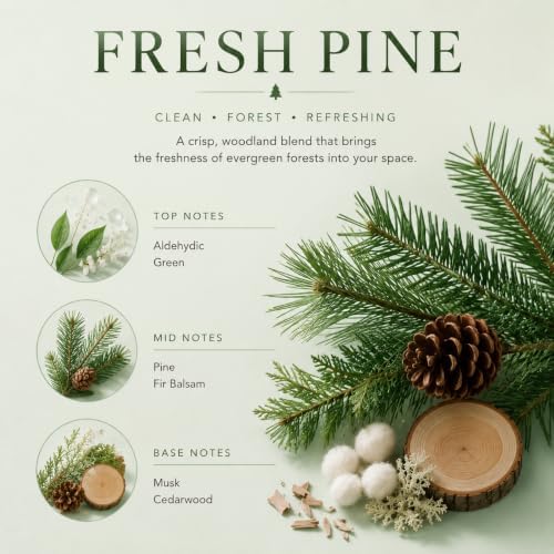 Airkeep Reed Diffuser Set,3.38 fl oz (100 ml) - Fresh Pine Oil Diffusers with 8 Reed Sticks, Home Fragrance Reed Diffuser for Bathroom Shelf Decor