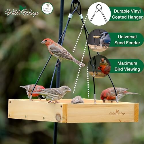 Wild Wings Cedar Tray Bird Feeder | Universal Seed | For Cardinals & Jays | Rust-Free Hardware | Pack of 4