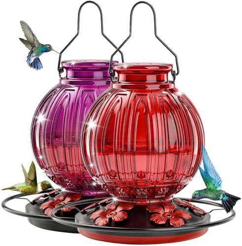 2 Pack Glass Hummingbird Feeder for Outdoors Hanging, Bird Nectar Feeder with Perch & 5 Flower Feeding Ports, 26 Oz Leak Proof for Outside Garden Decor Backyard, Gifts for Women Mom, Red + Purple Red