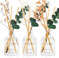 COCORRÍNA Reed Diffuser Set of 3 with Dried Eucalyptus for Home & Office