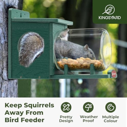 Kingsyard Recycled Plastic Squirrel Feeder for Outside, Squirrel Feeder Box with Peanuts Corn Storage Jar, Sturdy & Durable, Weatherproof (Green)