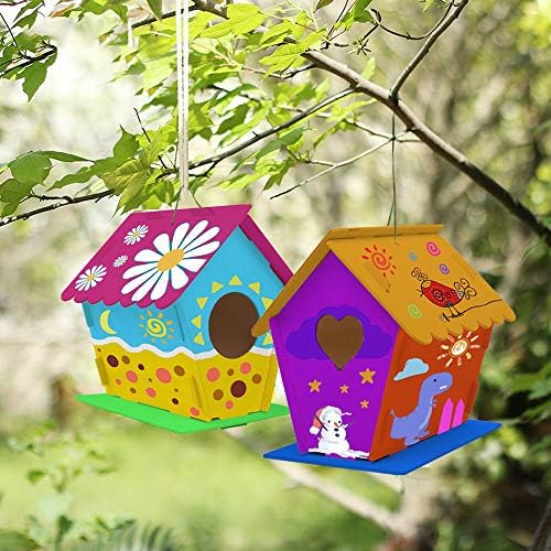 hapray 2 Pack Bird House Kits for Kids, DIY Birdhouse Kit Build and Paint