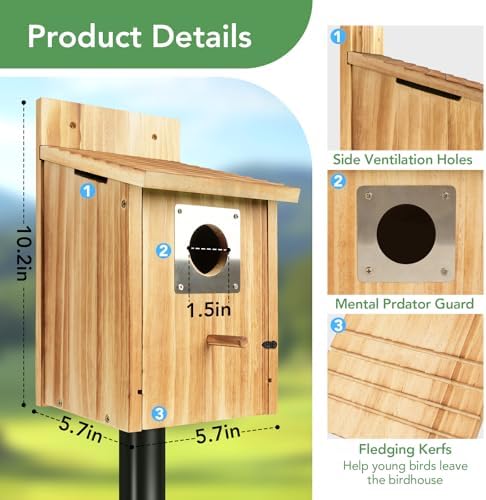 2 Pack Bird Houses for Outside, 1-1/2" Entrance Cedar Birdhouse